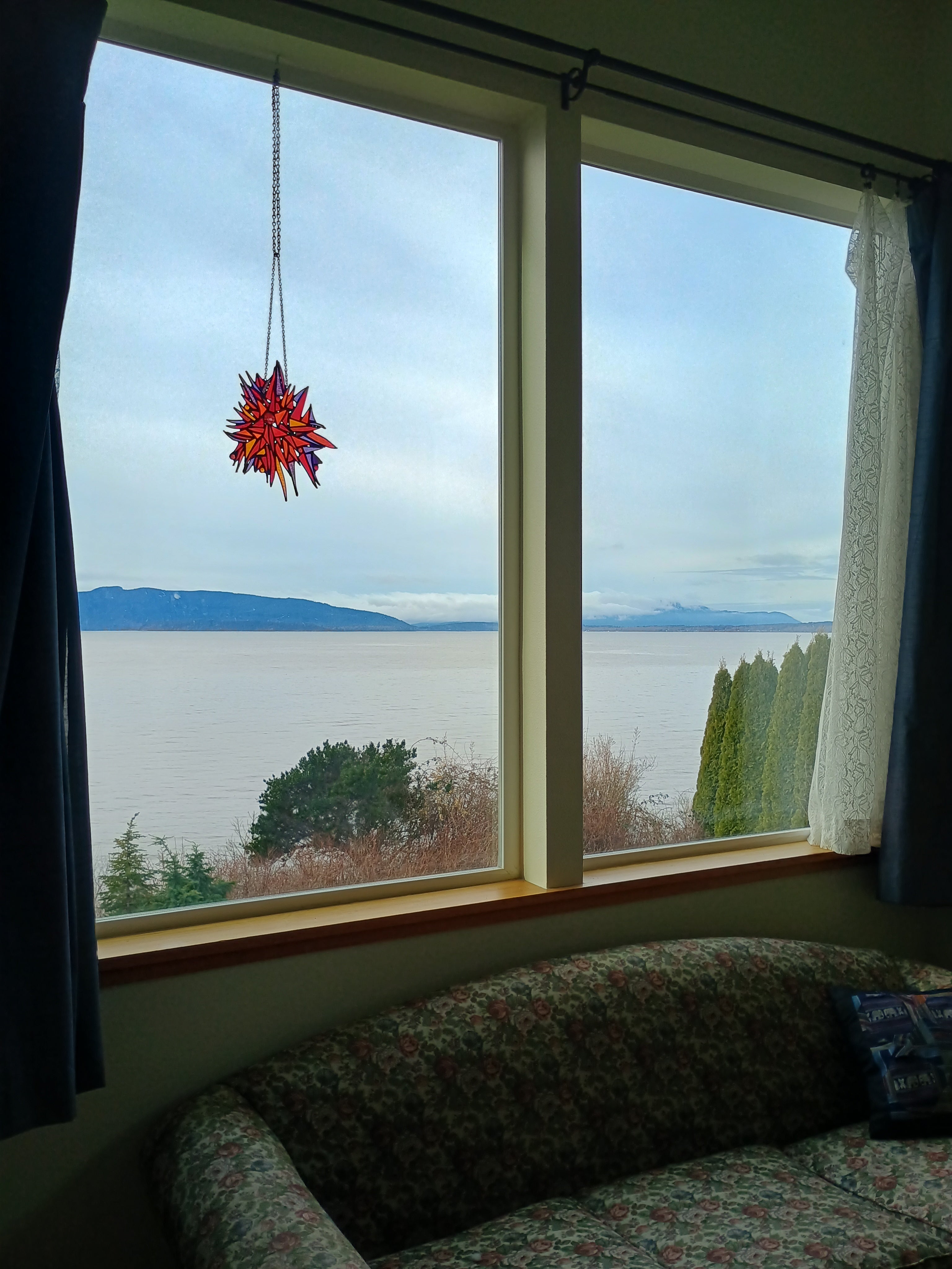 Red kite flying outside a window with a scenic view of Bellingham Bay and trees.