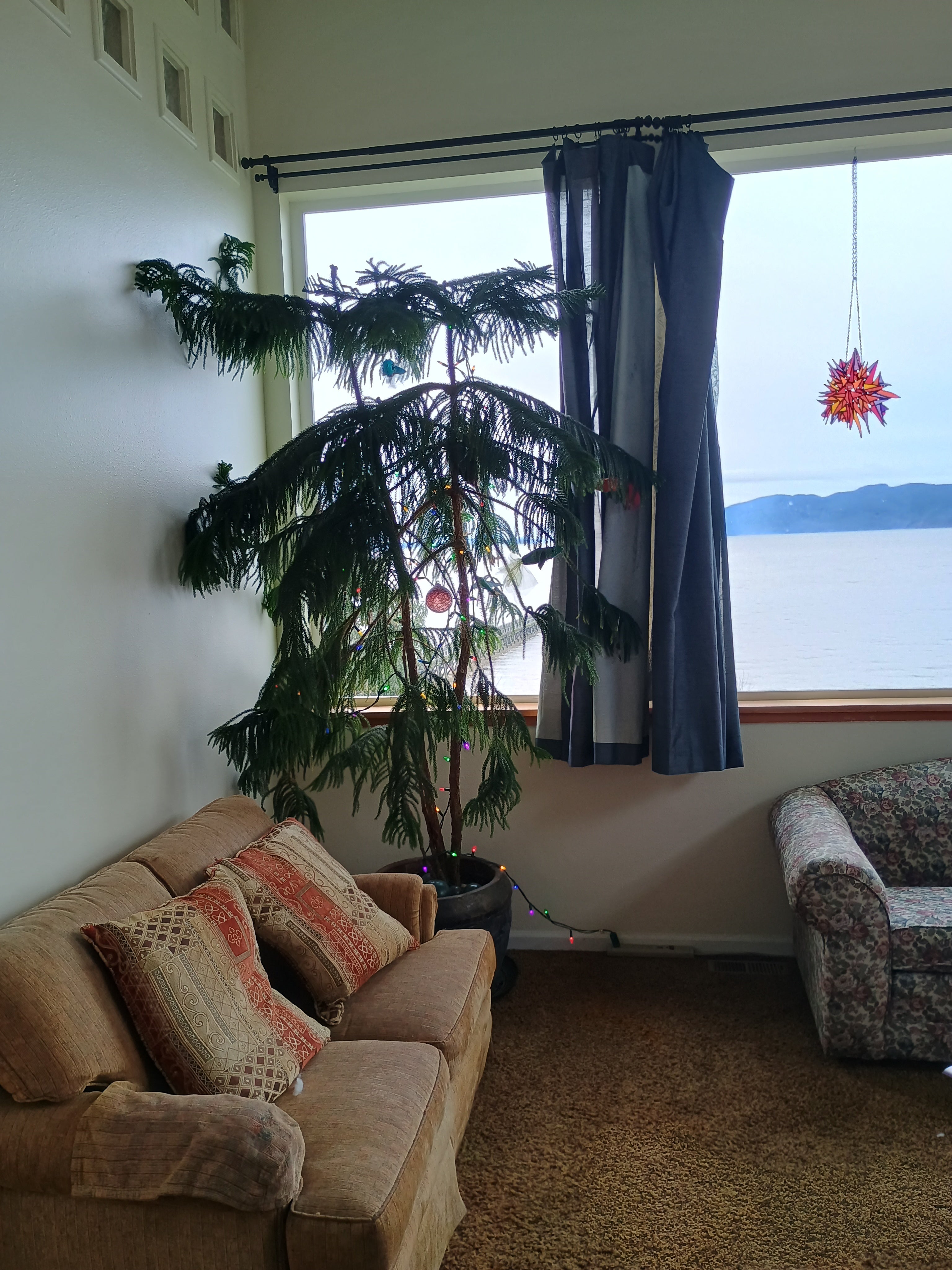 Living room with a houseplant, couch, and decorative items with a view of Bellingham Bay