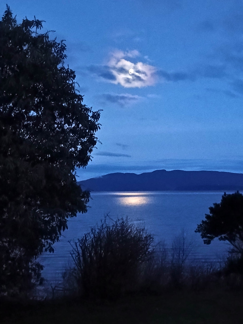 Moonlit landscape with trees and a mountain silhouette with a stunning view of Bellingham Bay