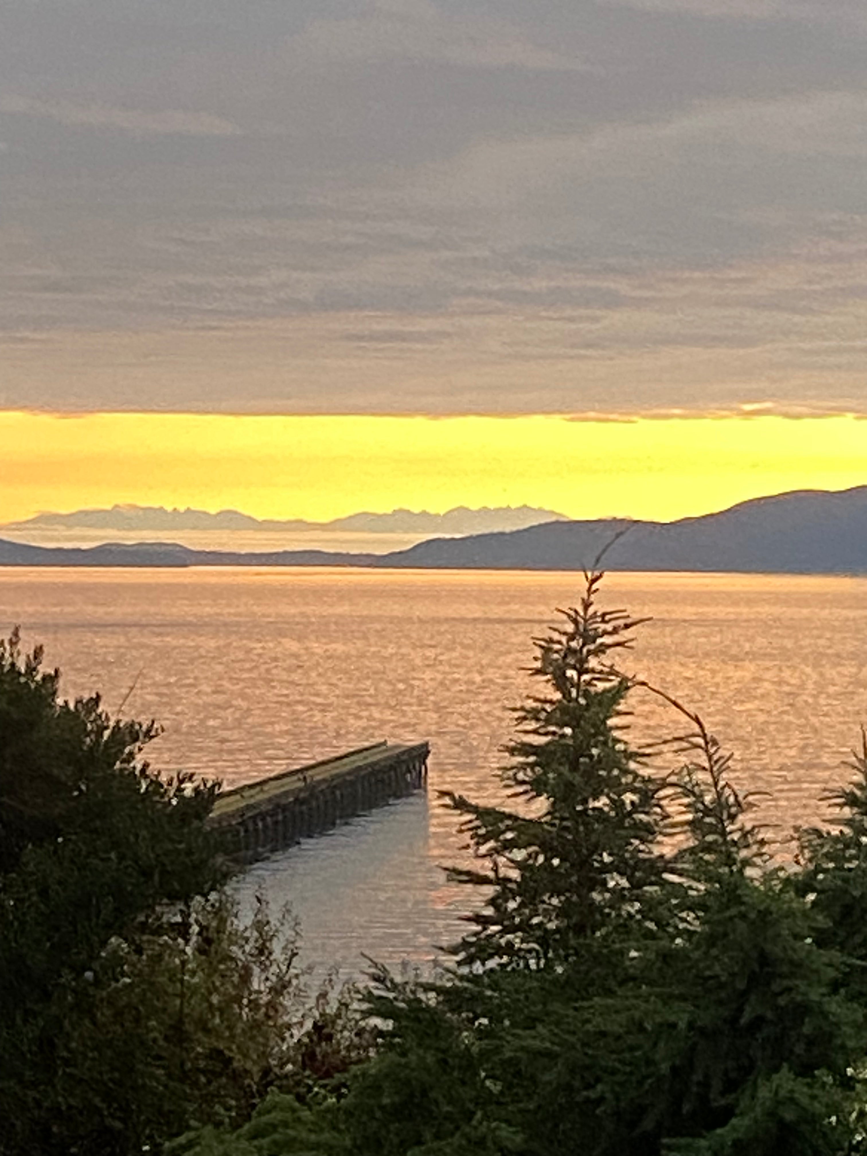 Sunset over Bellingham Bay with a dock and trees in the foreground